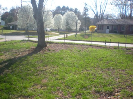 Kilkenny Drive 13 021